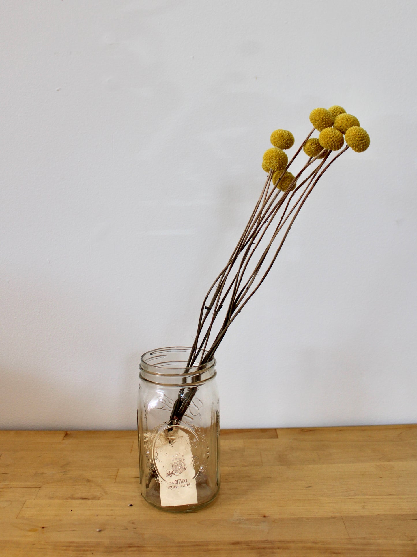 Dried Craspedia aka Billy Buttons