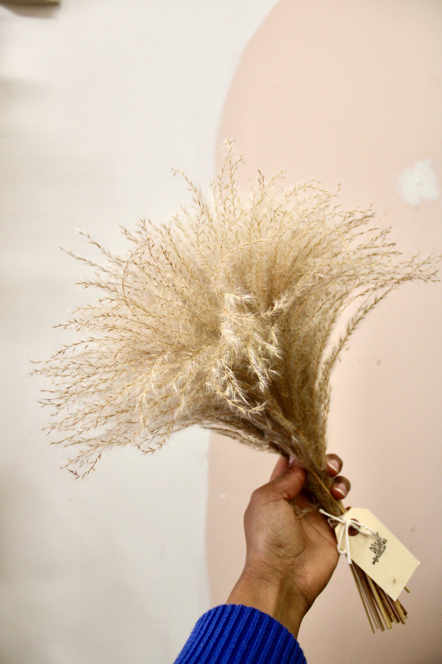 Dried Pampas Grass