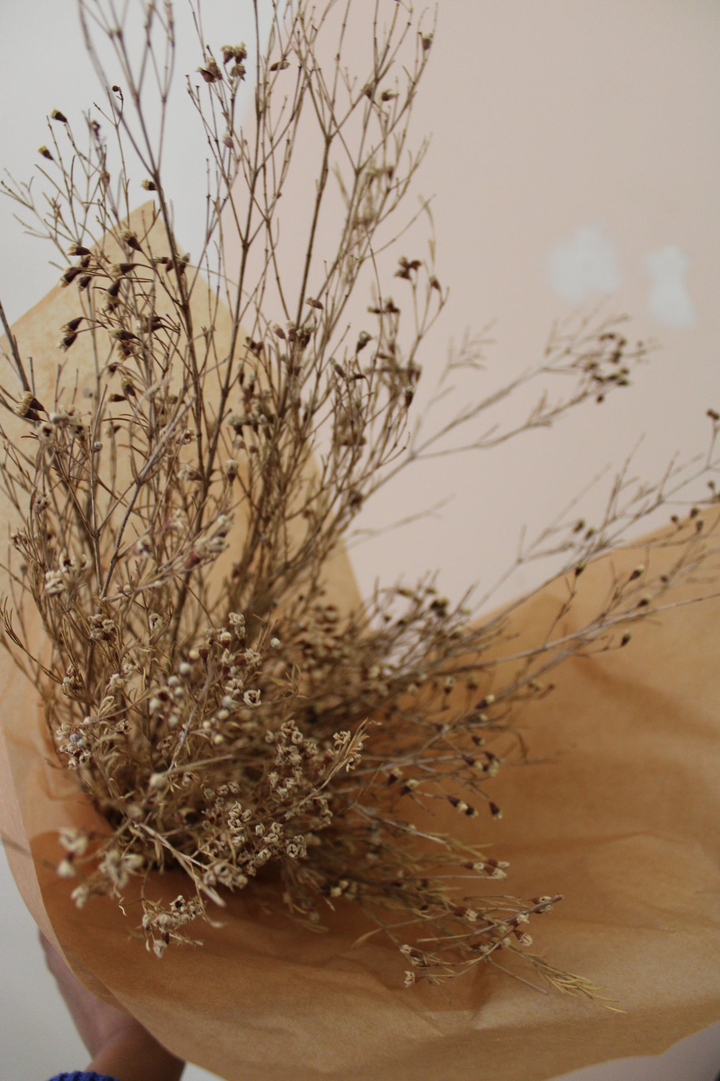 Dried Wax Flowers