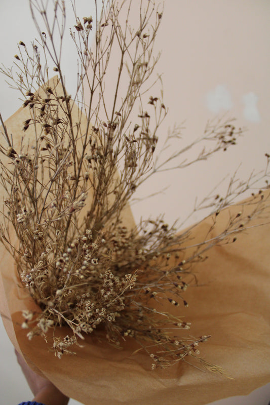 Dried Wax Flowers