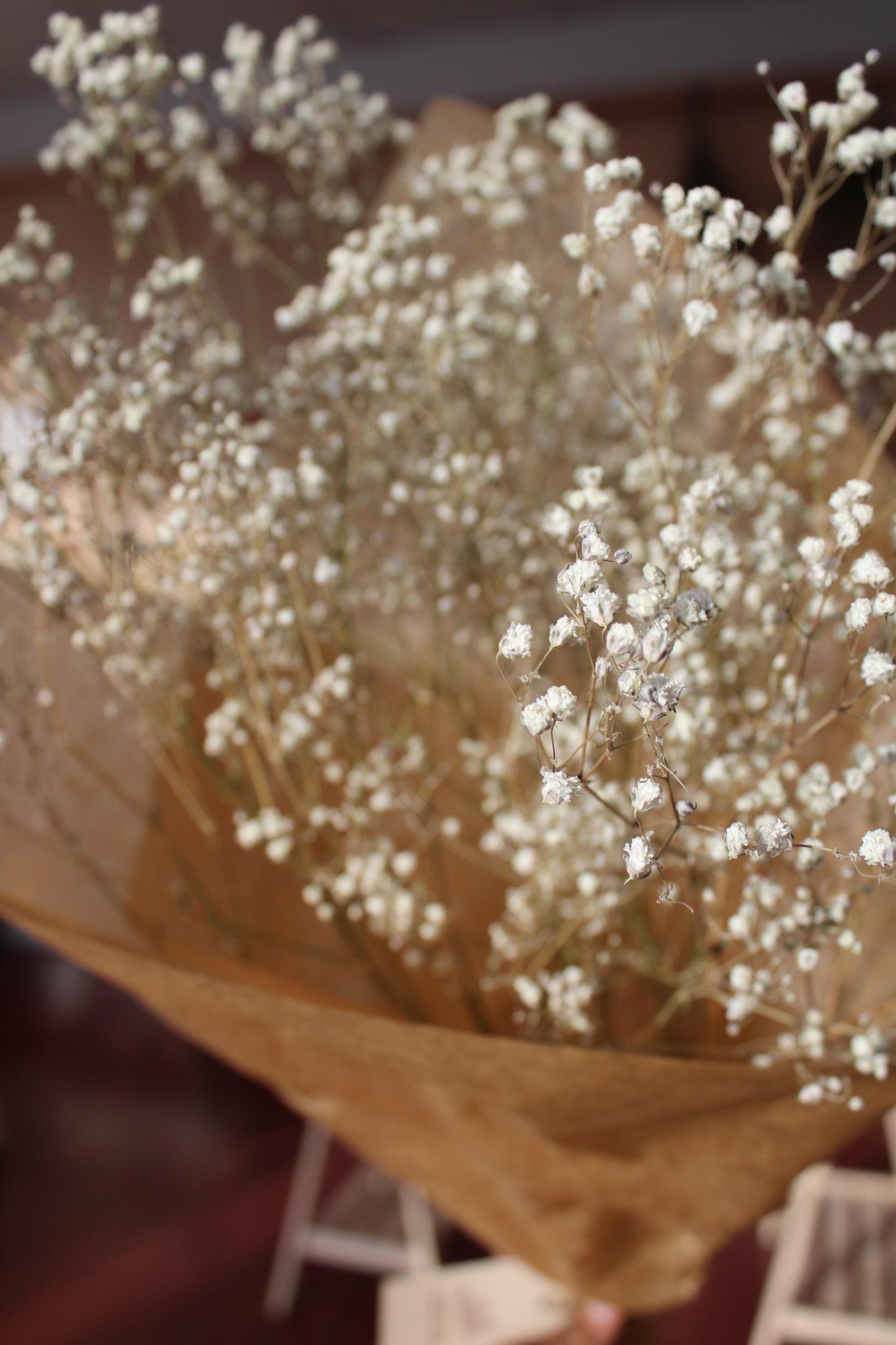 Dried Gypsophila aka Baby's Breath