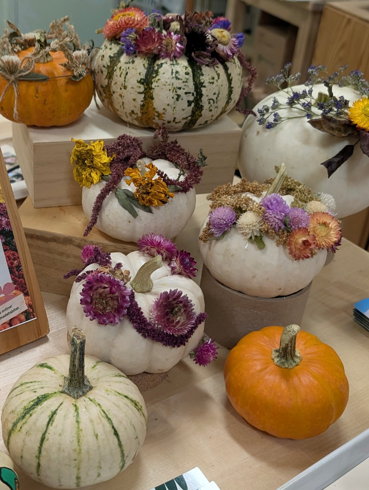 Fall Pumpkins