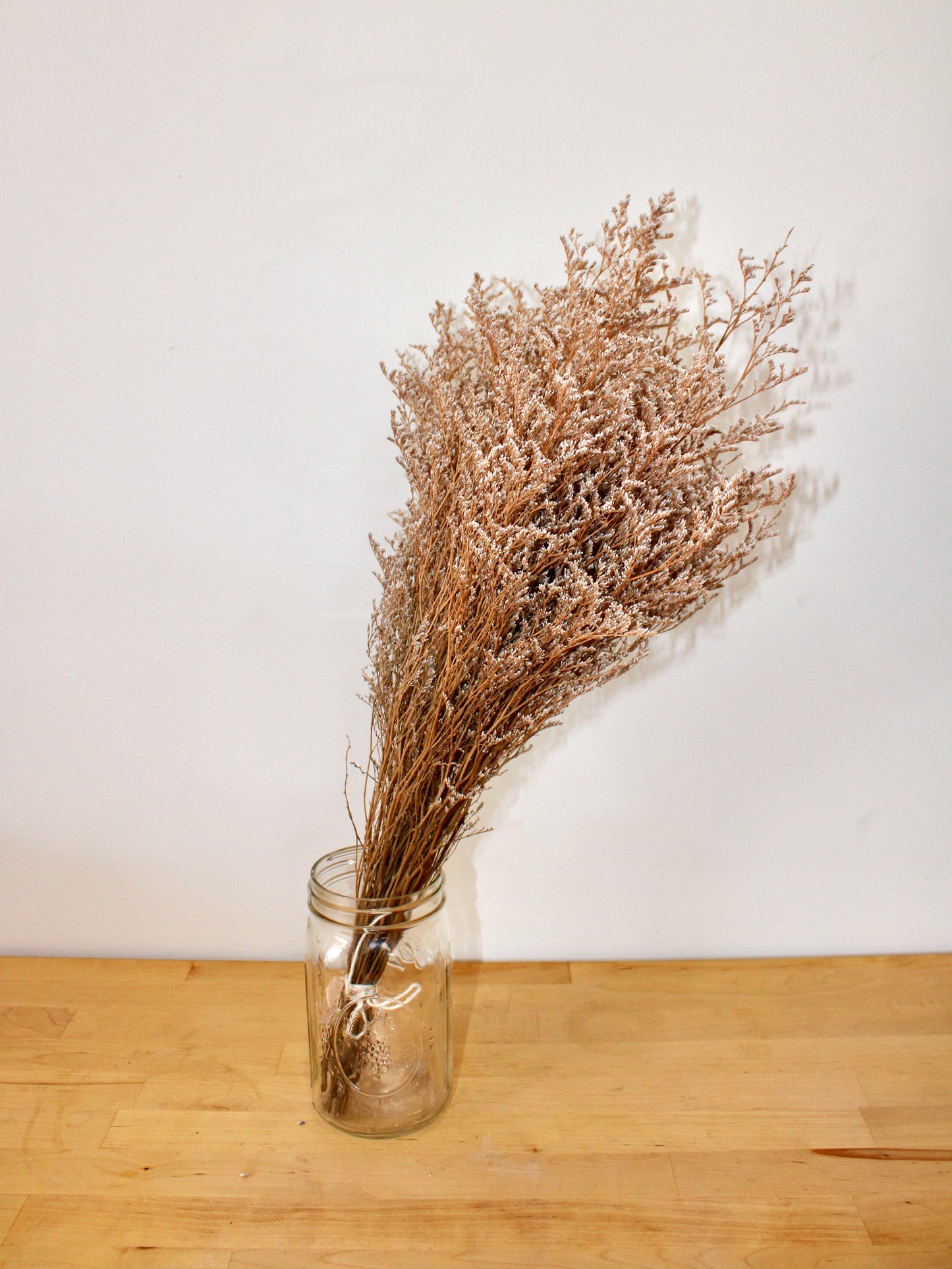 Dried Limonium
