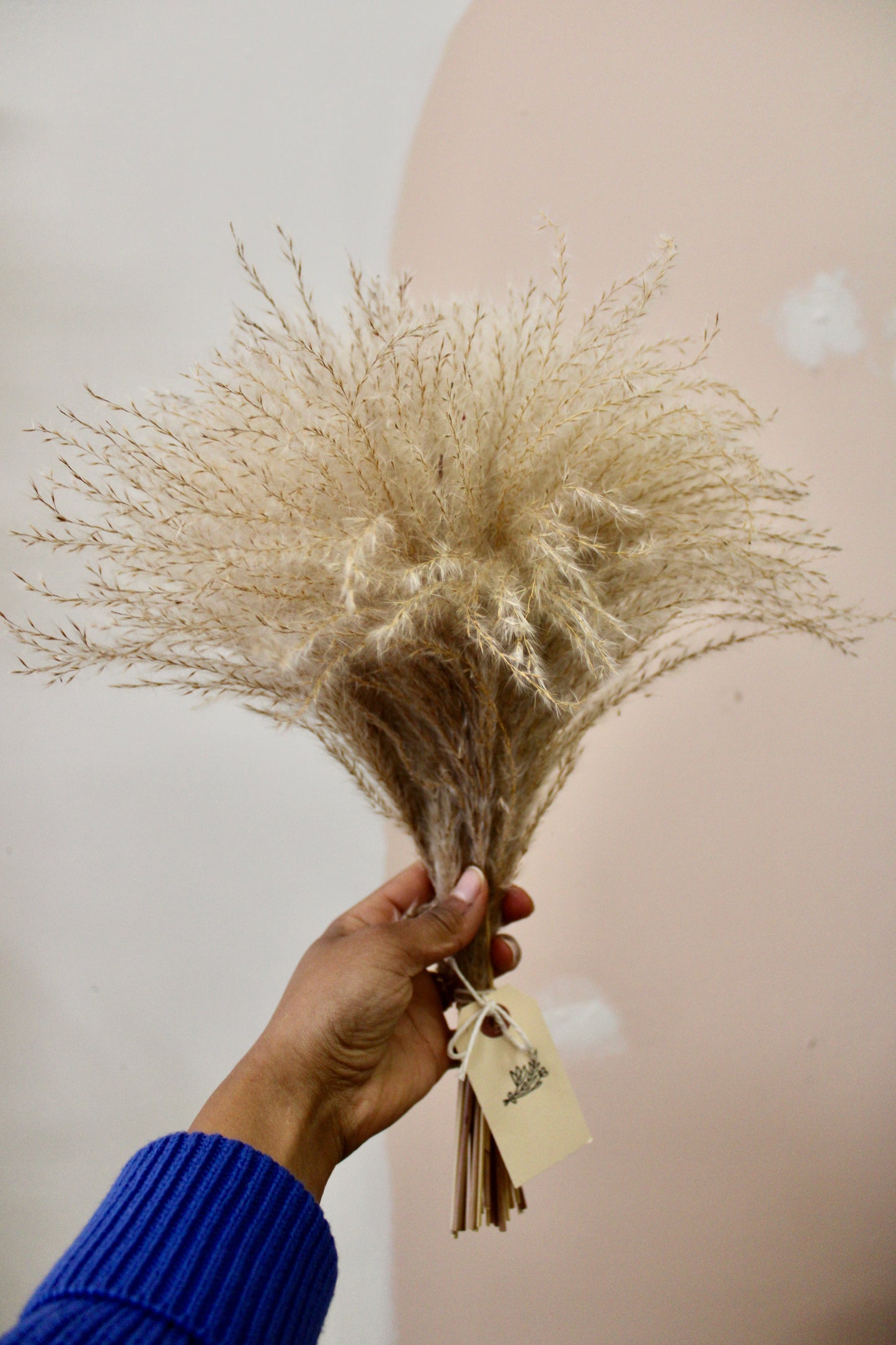 Dried Pampas Grass