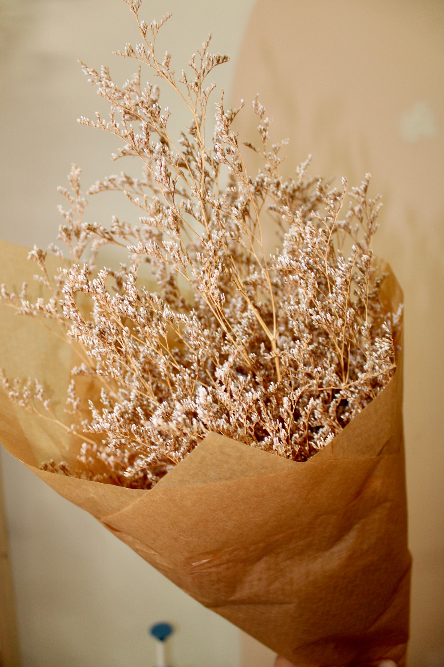 Dried Limonium