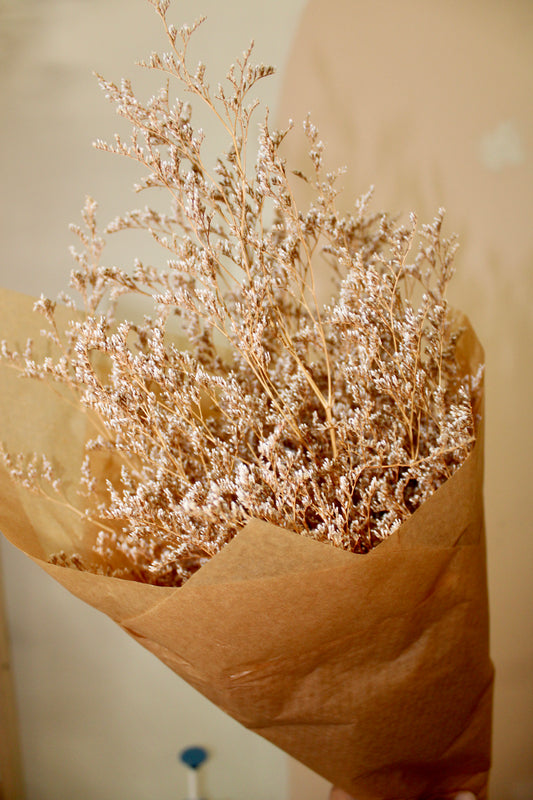Dried Limonium