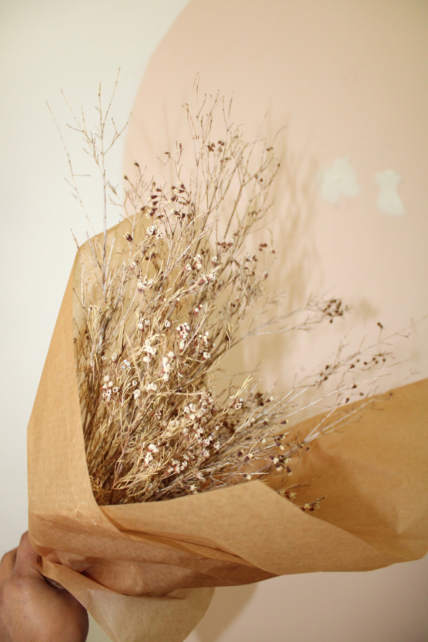 Dried Wax Flowers