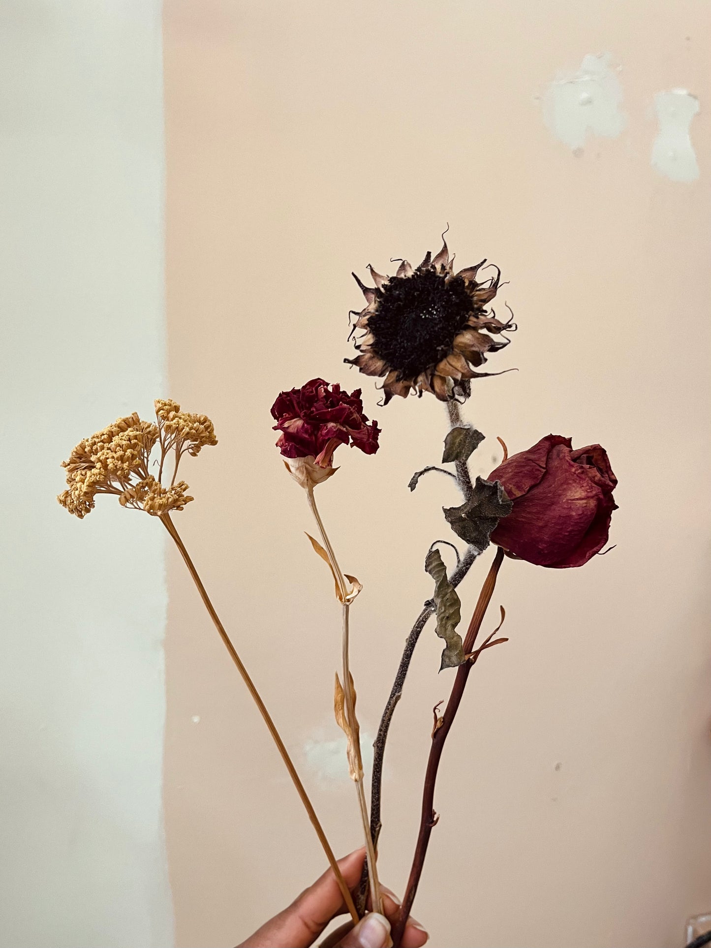 Single Stems